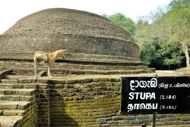 SLK - Stupa