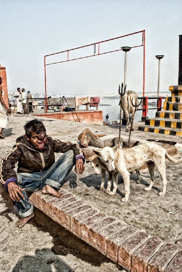 Varanasi - Lepreu et chiens